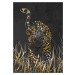 Ilustrace Black gold jaguar in grass, Sarah Manovski, (30 x 40 cm)