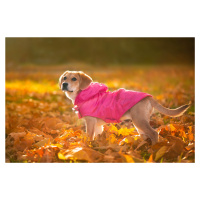 Vsepropejska Winter bunda pro psa s kapucí Barva: Růžová, Délka zad (cm): 28, Obvod hrudníku: 30