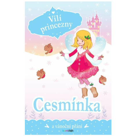 Vílí princezny - Cesmínka a vánoční přání - Poppy Collins bambook