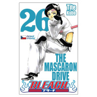 Bleach 26