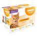 Kapsička IAMS KITTEN - multipack v omáčce 1020g (12x85gr)