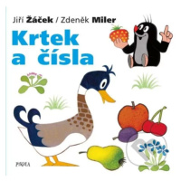 Krtek a čísla - Jiří Žáček, Zdeněk Miler - kniha z kategorie Pro děti