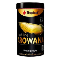 Tropical Arowana L 250 ml 80 g