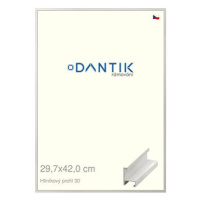 DANTIK rámeček 29,7 × 42, ALU profil 6030 Dýha bílý plexi čiré