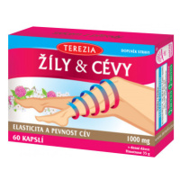 TEREZIA Žíly & Cévy cps.60