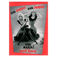 Fotografie Poster of “Viva Maria!” , 1965, (30 x 40 cm)