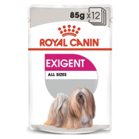 Royal Canin Wet exigent kapsička 12x85 g