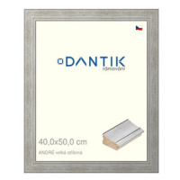 DANTIK rámeček 40 × 50, ANDRÉ velký stříbrný plexi čiré