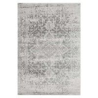 Šedý koberec 160x230 cm Nova – Asiatic Carpets