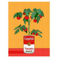 Ilustrace Campbells Soup Tomato Plant Retro Illustration, Retrodrome, 30 × 40 cm