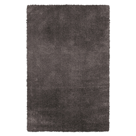Sintelon koberce AKCE: 67x110 cm Kusový koberec Gala 01/DDD - 67x110 cm
