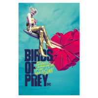 Plakát, Obraz - Birds of Prey: Podivuhodná proměna Harley Quinn - Broken Heart, 61x91.5 cm