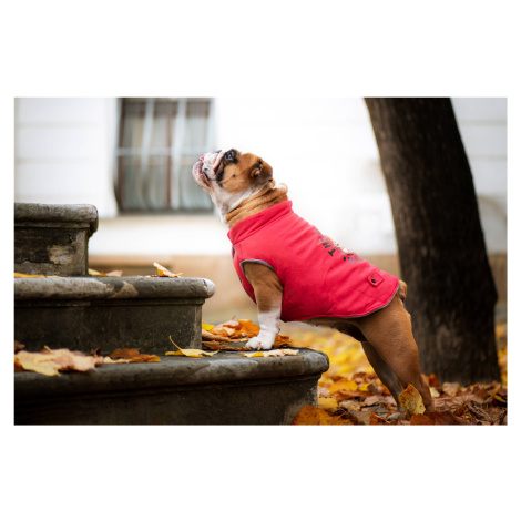 Vsepropejska Bulldog zimní bunda pro psa Barva: Červená, Délka zad (cm): 35, Obvod hrudníku: 54 