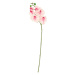 Dekoria Větvička Orchid 65cm light pink, 65 cm