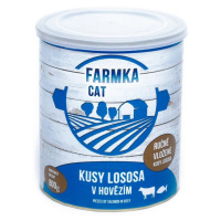 Falco Farmka Cat s lososem 0,8 kg