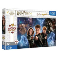 TREFL Puzzle Super Shape XL Kouzelný svět Harryho Pottera