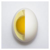 Umělecká fotografie Inner Egg, Adelino Alves, (40 x 40 cm)