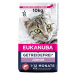Eukanuba Kitten Grain Free bohaté na lososa - 10 kg