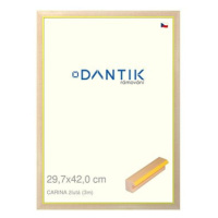 DANTIK rámeček 29,7 × 42, CARINA žlutý plexi čiré