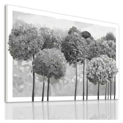 Obraz na plátně HORTENZIE šedé květy A různé rozměry Ludesign ludesign obrazy: 100x70 cm
