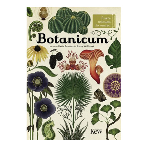 Botanicum | Jenny Broomová ALBATROS