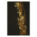 EMOS LED vánoční girlanda – šišky, 1,7 m, 2x AA, vnitřní, teplá bílá DCGW04