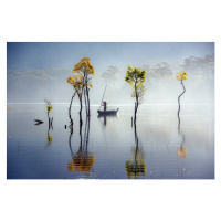 Fotografie sunbeam and trees reflected on the, Khanh Bui, (40 x 26.7 cm)