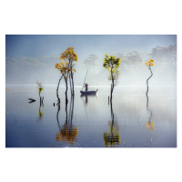 Fotografie sunbeam and trees reflected on the, Khanh Bui, 40 × 26.7 cm