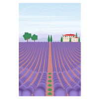 Ilustrace Lavender field landscape. Summer vertical background., olhahladiy, 26.7 × 40 cm