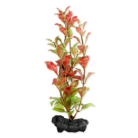 Dekorace Tetra Rostlina Red Ludwigia S 15cm