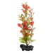 Dekorace Tetra Rostlina Red Ludwigia S 15cm