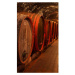 MS-2-0247 Vliesová obrazová fototapeta Wine Barrels, velikost 150 x 250 cm