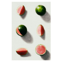 Ilustrace Fruit 14, Leemo, 26.7x40 cm