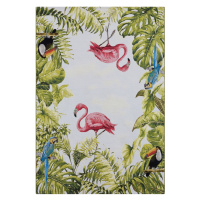 Hanse Home Collection koberce Kusový koberec Flair 105616 Tropical Birds Multicolored – na ven i