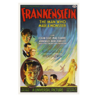 Ilustrace Frankenstein / Boris Karloff, 26.7 × 40 cm