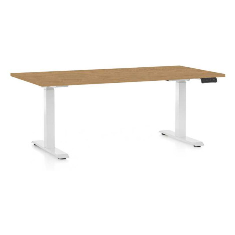 Rauman Výškově nastavitelný stůl OfficeTech C, 160 x 80 cm, bílá podnož, dub kamenný