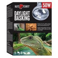 Repti Planet žárovka Daylight Basking Spot 50 W