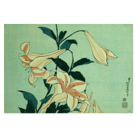 Obrazová reprodukce Trumpet Lilies, Hokusai, Katsushika, 40 × 26.7 cm