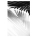 Fotografie Abstract background of palm leaves shadow, mariiaplo, 26.7 × 40 cm