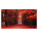 Fotografie easy way in the autumn park, jonnysek, 40 × 22.2 cm