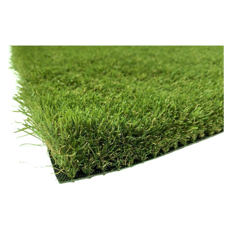 Lano - koberce a trávy AKCE: 180x360 cm Umělá tráva Daisy metrážní - Rozměr na míru cm