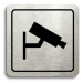 Accept Piktogram "monitorováno II" (80 × 80 mm) (stříbrná tabulka - černý tisk)