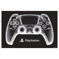 Plakát, Obraz - PlayStation - X-Ray Pad, (91.5 x 61 cm)