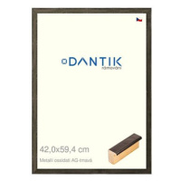 DANTIK rámeček 42 × 59,4, Metalli oidati AG tmavý plexi čiré