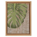 Obraz 36x46 cm Monstera – Wallity