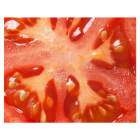 Fotografie tomato slice full frame macro, JamesPearsell, 40 × 30 cm