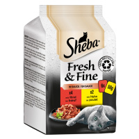 Sheba Fresh & Fine kapsičky 6 x 50 g - jemná pestrost