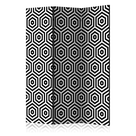 Paraván Black and White Hypnosis Dekorhome 225x172 cm (5-dílný)