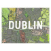 Mapa Dublin Map - Historical & Vintage Maps, 40 × 30 cm