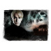 Umělecký tisk Harry Potter - Draco Malfoy, 40 × 26.7 cm